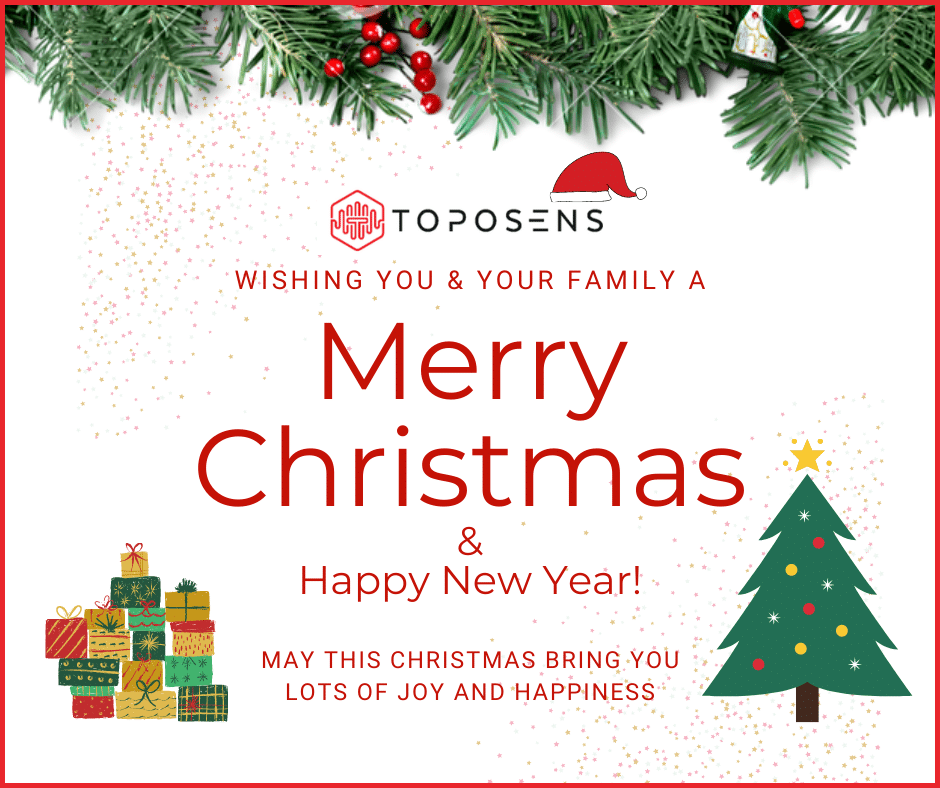 Happy-Christmas-Toposens